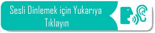 Ormanın Kalbi: Pisipisi, Jerry ve Kurt Üçlüsünün Dostluk Öyküsü